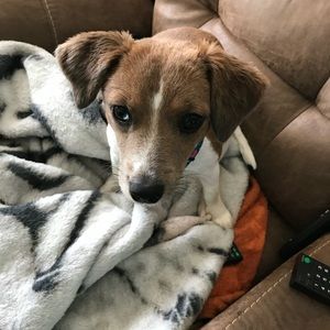 Meet your Posher, Lori